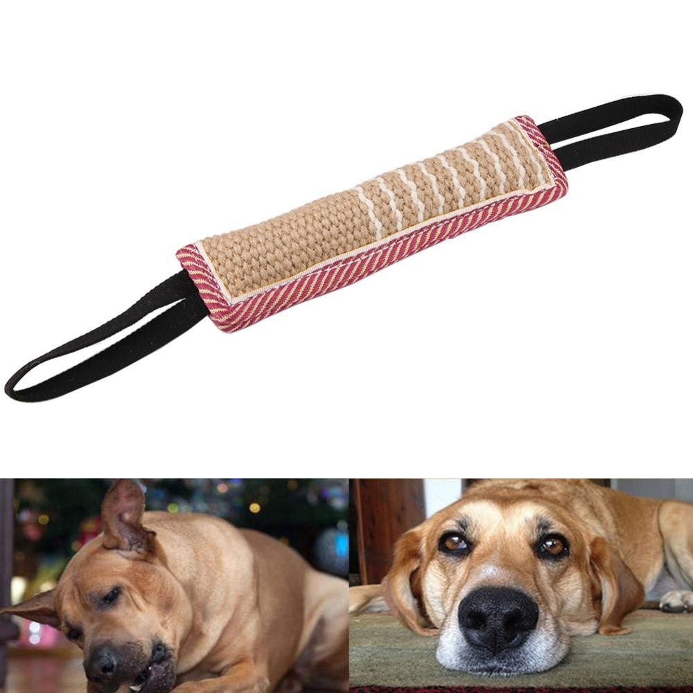 Stick Shaped Dog Training Stick Tough Texture Dog Molar Stick Dog Chew Stick Boredom Relief
