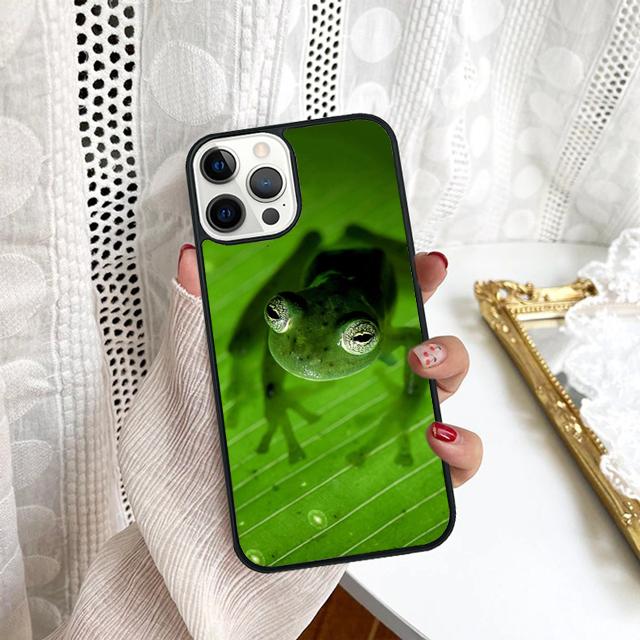 Забавная лягушка на листе Чехол для телефона для Samsung Galaxy S10 S22 S23 S24 Note 10 20 Lite S20 Plus S21 Ultra Задняя крышка