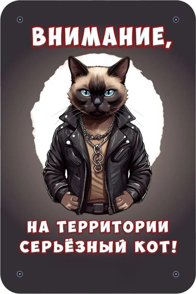 Металлическая табличка Осторожно Злая собака 30x20см Шпиц