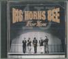 CD BIG HORNS BEE - Для тебя SRCL3647PROMO SONY Япония Оби Соул/Фанк Б/У
