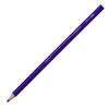 Sakura Crepas Coupy Colored Pencil PFY Rose Purple 10 Pieces 10P#24