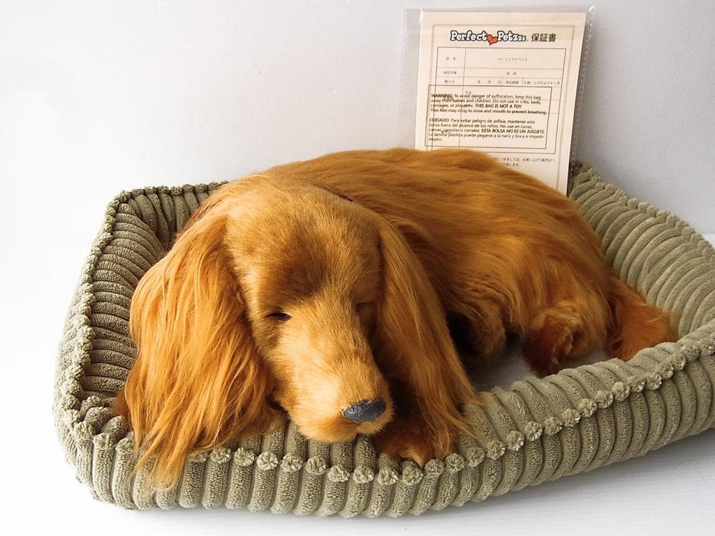 Ninian and Kino Perfect Pet Dachshund Long Plush Lifelike Dog Stuffed Animal (Large) (Red) Dog, Realistic, Dachshund, Animal, Soothing, Moving,