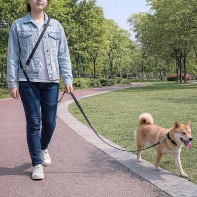 10-метровый прочный поводок для собак без рук – для собак весом до 80 кг, через плечо, для кемпинга, парка, тренировок
