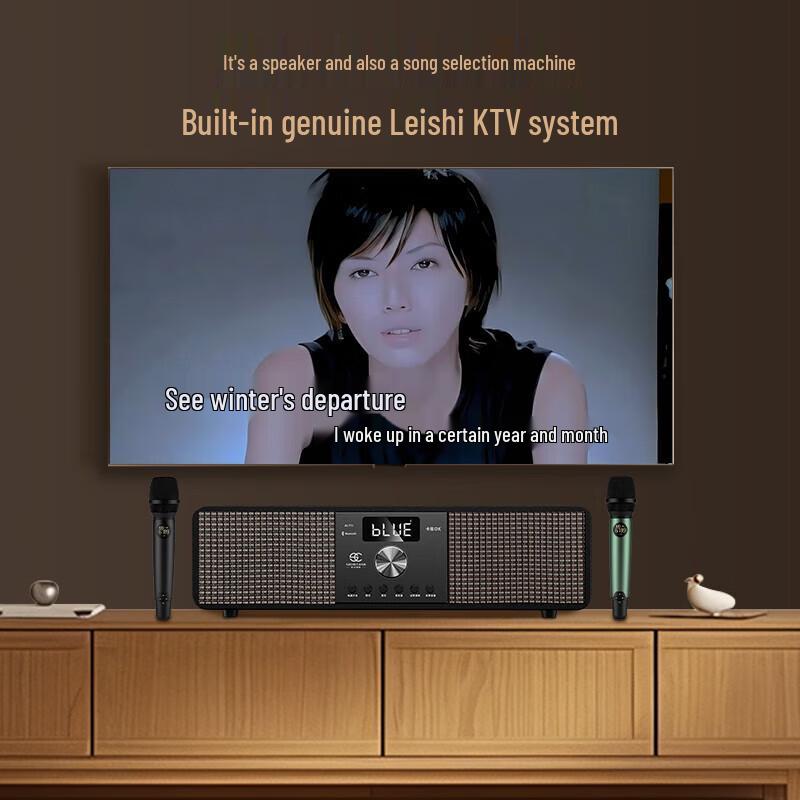 Home KTV Karaoke Audio System CN plug (adapter included) (CN version)
