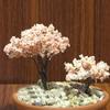 Miniature Tree Fairy Garden Decor Dollhouse Plant Pot Figurine DIY Craft Ornament