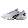 Air Max DN Premium Wolf Grey Pure Platinum женские кроссовки Aurora-Green White HQ0013-001