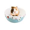 Rat Hedgehog Chinchilla Feeding Gerbil Ceramic Water Drinker Hamster Bowl Pet Supplies Food Dish