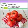 Органический - Помидор - Сен-Пьер - 15 семян - Solanum lycopersicum