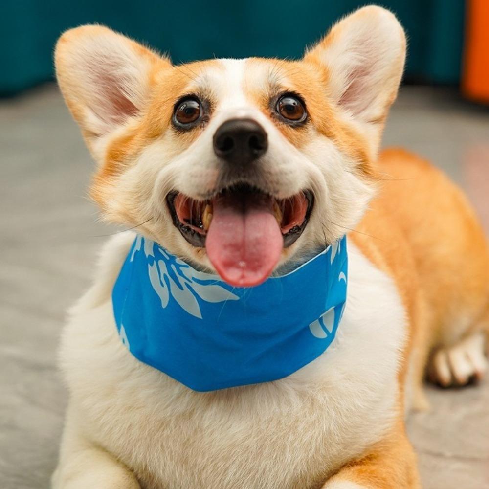 Мультяшный охлаждающий ледяной шарф портативный ошейник для собак удобный шарф для домашних животных охлаждающий артефакт