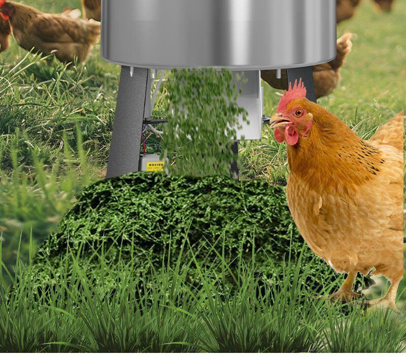 Stainless Steel Vegetable and Fodder Chopper for Poultry