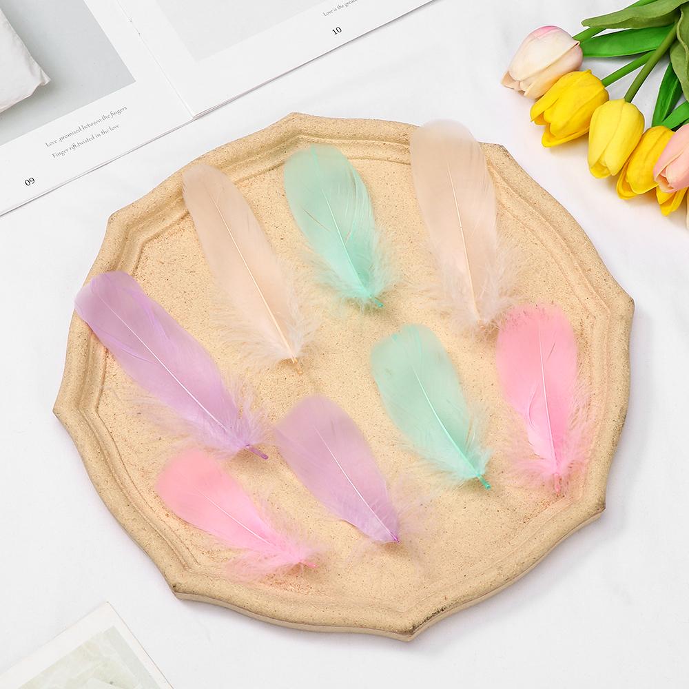 Natural Color Wedding Ornaments Colorful Feather Home Decoration Costume Decoration Goose Feathers