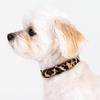 Pet Walking Dog Collar PU Leather Pet Collar Pet Supplie Leopard Dog Collar  Small Medium Dogs