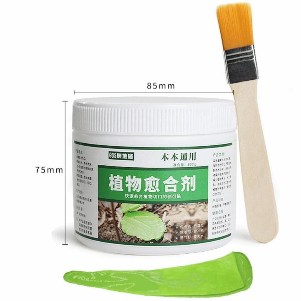 100g Tree Wound Sealant Smear Agent Bonsai Cut Paste New Grafting Tree Sealer  Tree Care