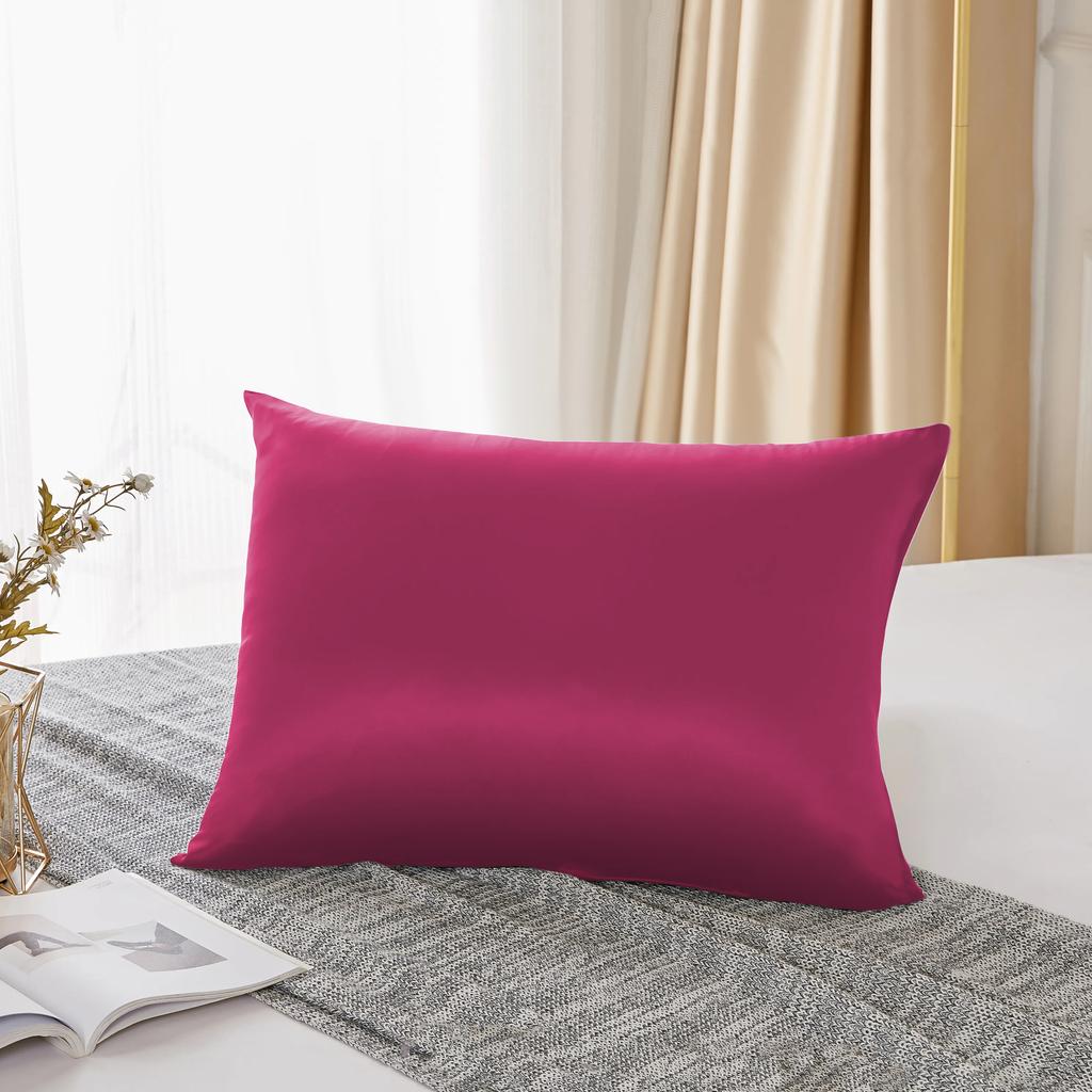 25 Momme Natural Mulberry Silk Pillowcase,Both Sided Pure Silk Pillow Cover Gifts for Women,Pure Silk Pillowcsae For Hair