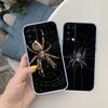 NH40 Spider Transparent Phone Case for LG K22 K30 K40 K40S K41 K42 K50 K50S K51 K51S K52 K61 K62 K71 K92 Q60 Q61 V40 V50 V60