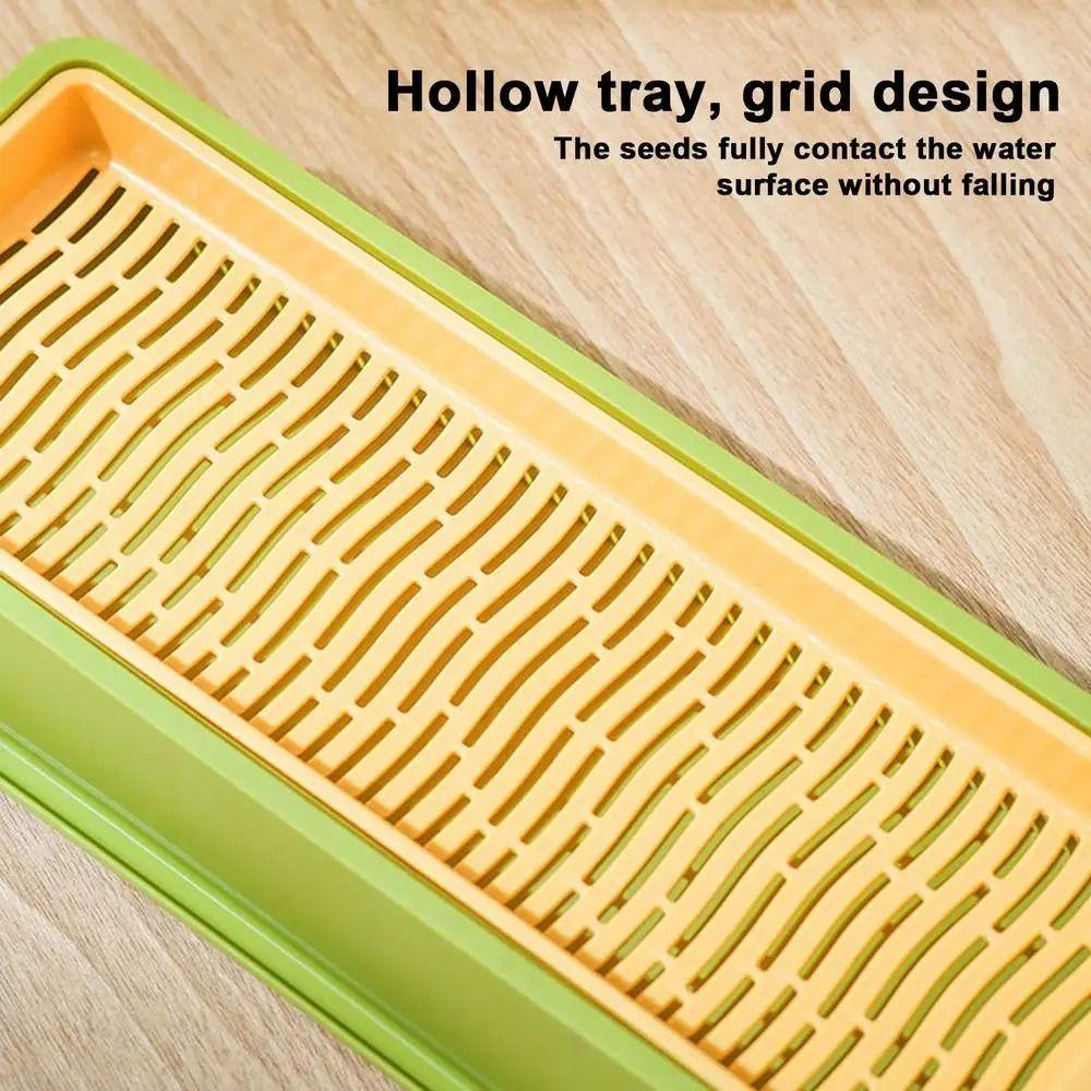 4 Styles Catgrass Planting Bowls Hydroponic Nursery Tray Cat Grass Growing Kit  Veterinary