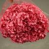 Phantom Flower: Single 20CM Preserved Hydrangea, Handmade Dried Bouquet for Decoration