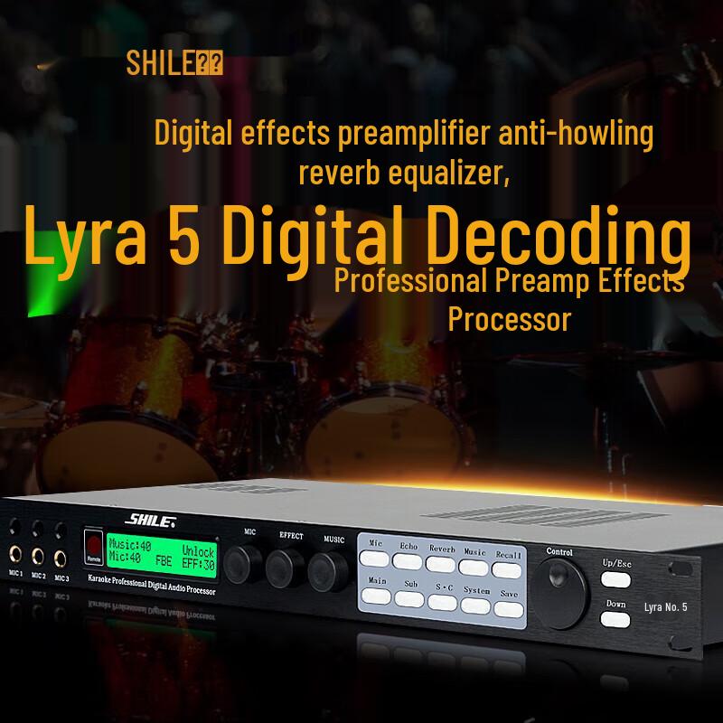 SHILE Tianqin No. 5 Digital Effects Processor