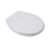 White Basic Toilet Seat