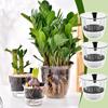 1pcs Transparent Self Watering Plant Pot Double Layer Planter Pot with Reservoir Flowerpot Office