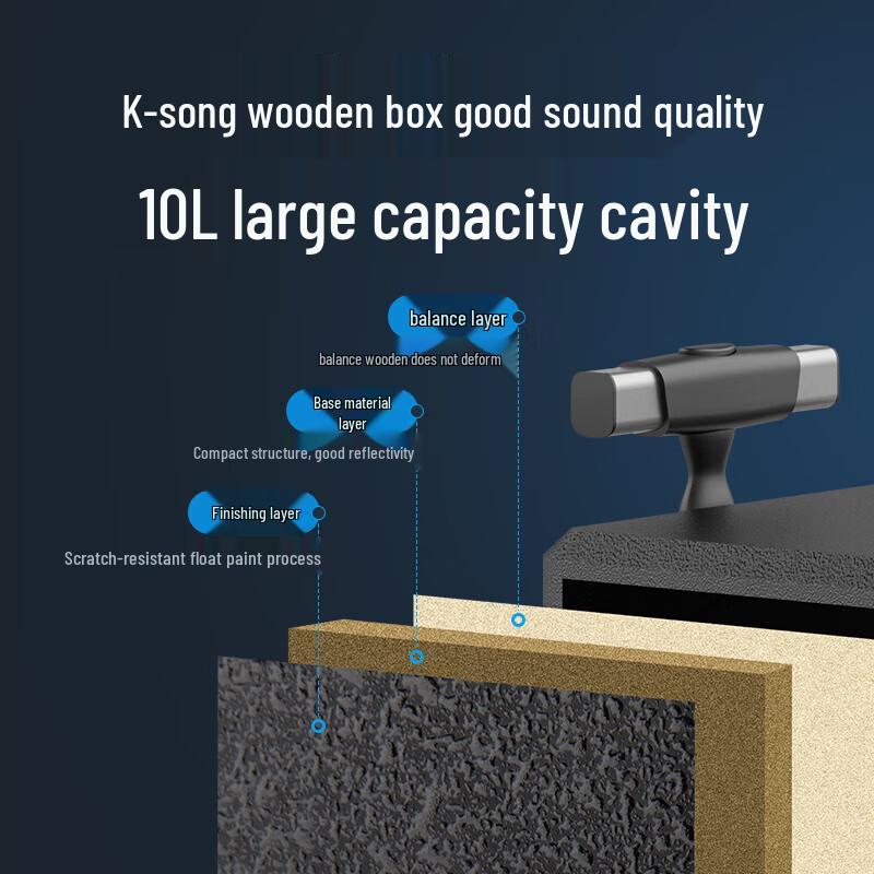 SANSUI TE06 8-inch Portable Karaoke Speaker (CN version)