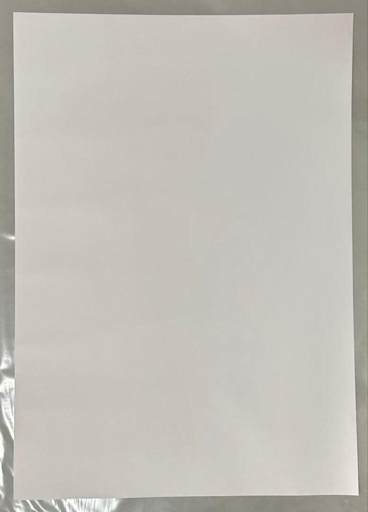 [USED] SEVENTEEN Hoshi the SAEM Poster 42cm X 59.2cm