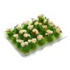 Miniature Flower Cluster Static Grass Tufts Micro Landscape Scene Model Sand Table Layout Garden Wargame Material Accessories