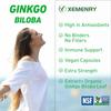 Ginkgo Biloba - Brain Health, Mind & Memory Circulation, Metabolism Booster