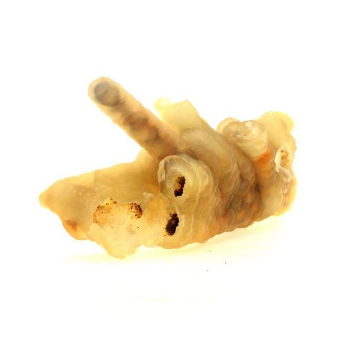 Pierres et Minéraux. Calcédoine. 1581.5 ct. Java, Indonesie.