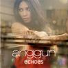 CD ANGGUN - Эхо: Азиатское лимитированное издание 88697907172 Апрель Земля 2011 Индонезия Танцевальная и электронная музыка Б/У