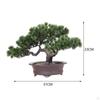 Приветствующее дерево в горшке, растение бонсай, декоративный роман и уникальный многофункциональный настольный дисплей для