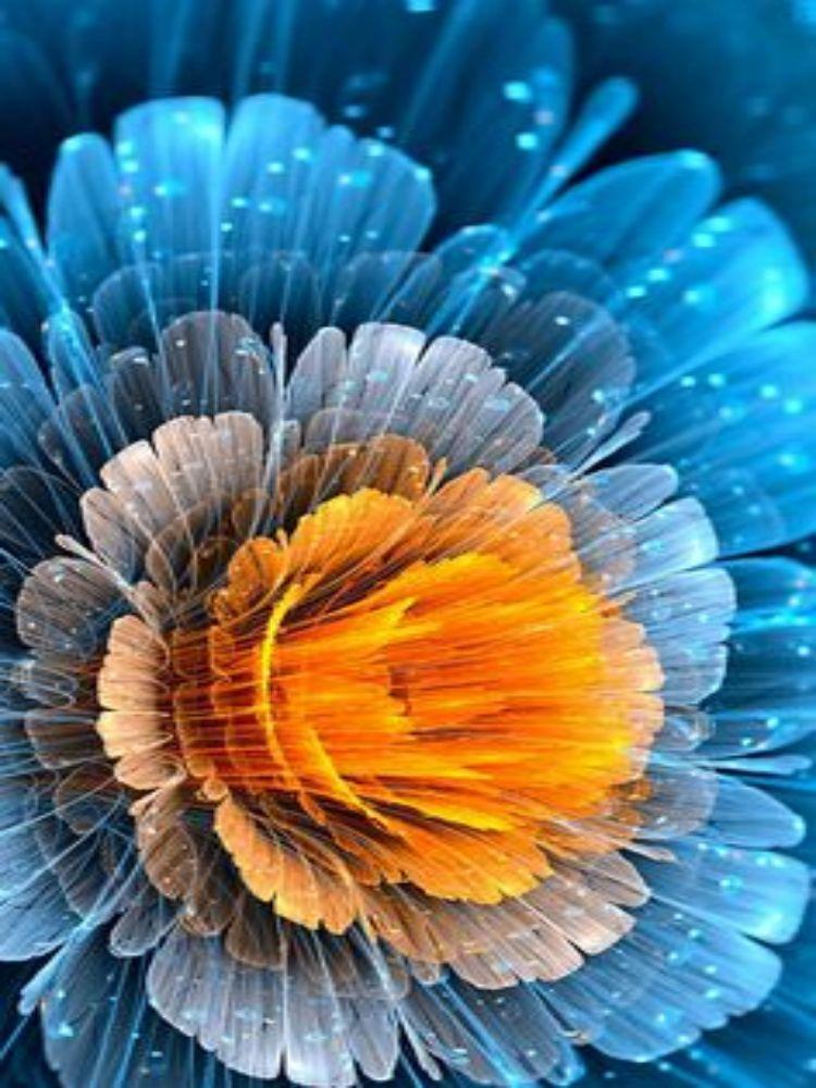 5D DIY алмазная живопись цветы Фэнтези лепестки фотографии Алмазная мозаика полная дрель стразы вышивка DIY домашний декор мозаика