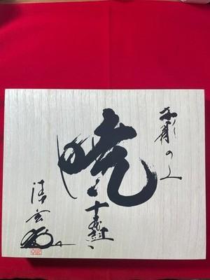 Японский набор резцов по дереву Akatsuki, 10 шт., Белая сталь, Yoita, Япония