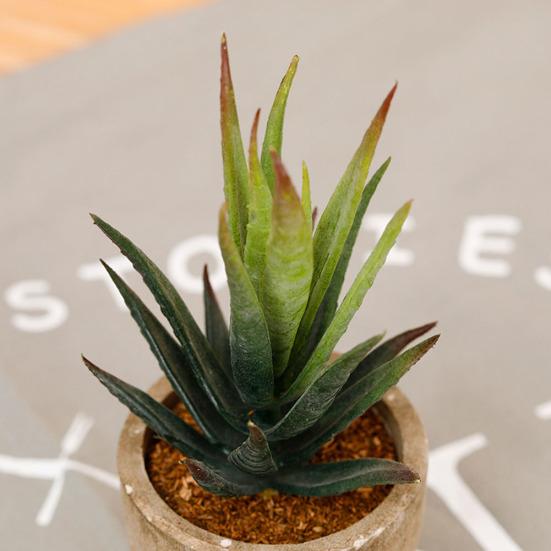 Искусственный бонсай, очаровательный сад, поддельное растение в горшке для парка фигурок