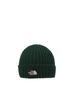 Cappucho Lid Alpine KF Knit Cap Kids'
