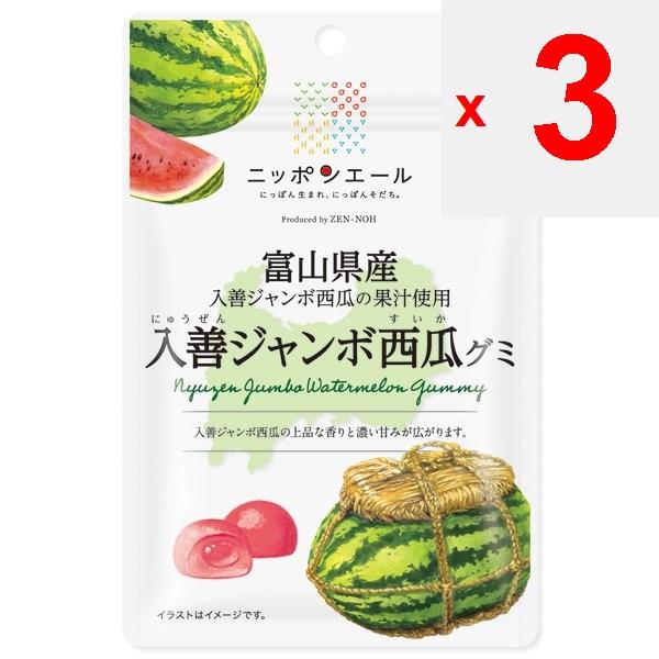 JA Nippon Ale Toyama Irizen Jumbo Watermelon Gummies 40 гБренд Nippon Ale с крылатой фразой Бренд Nippo Nippon Ale с крылатой фразой Родившийся в Японии,