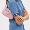Coach Nolita 19 Сундаэ Узор Застежка-молния Кожаный рифленая кожа Сумка Маленькие женские сумки Цвет: Вишневый цвет CU251-SVAOH