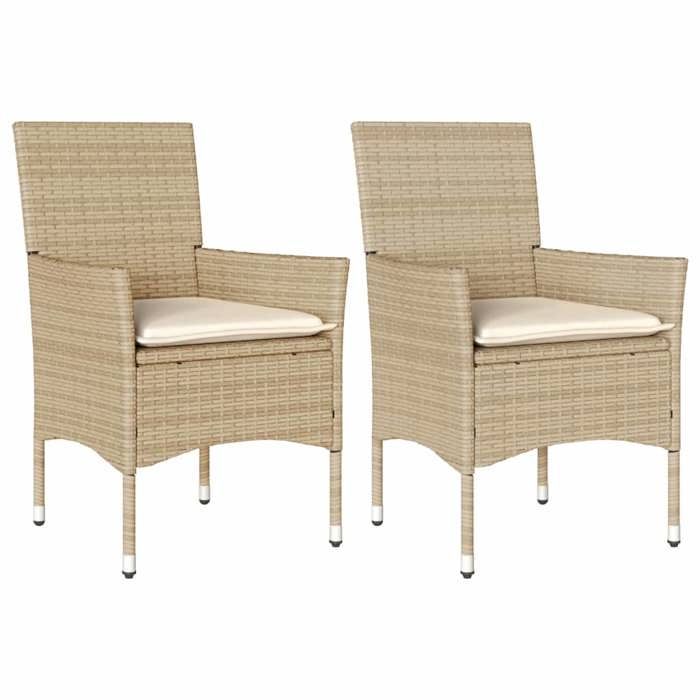 VidaXL Lot de 2 Chaises de Jardin avec Coussins, Sièges avec Accoudoirs, Fauteuils avec Dossier, Meubles de Terrasse, 368113