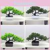 Чанпай Шотландская Искусственная Сосна Туя Сычуаньская Дерево Бонсай Растение Пластик