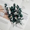 Nature Preserved Eucalyptus Leaves Diy Real Forever Dried Flowers Resin Mold Making Art Jewelry Casting Mold Embossing Material