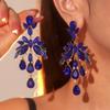 Gorgeous Color Sparkling Crystal Long Earrings Temperament Luxury Shiny Women's Earrings 1 Pair