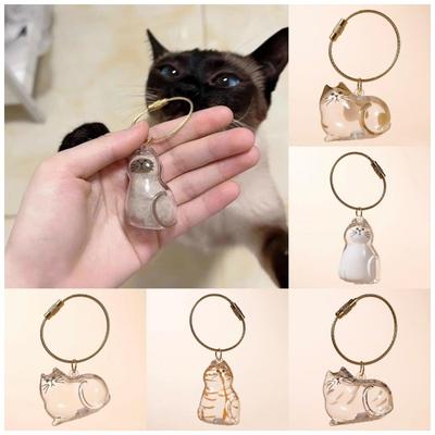1pc 3D Cat Hair Dog Hair Transparent Storage Box - Keychain Backpack Pendant Pet Cat Kitten Shaped Commemorative Charm Hairball Container