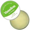 Vaseline Lip Therapy, Алоэ, 0,6 унции (17 г)