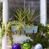 Large Window Box in Blue with Durable Material for Outdoor Use