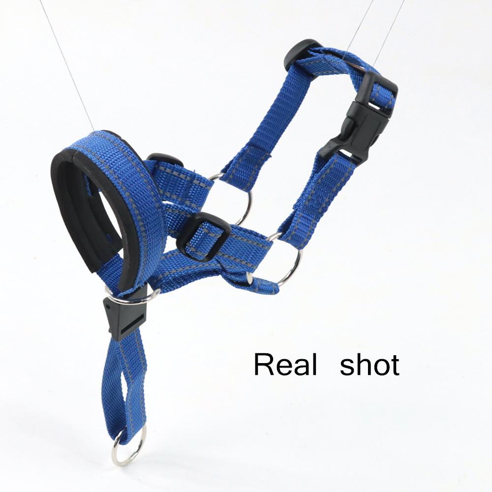 Dog Muzzle Adjustable Anti-bite Mask Pet Traction Set Dog Muzzle Training With Pet Muzzle