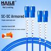 HAILE Бронированный одномодовый оптоволоконный патч-корд SC-SC