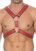 Scottish Harness Z Series - S/M Ouch! by shots