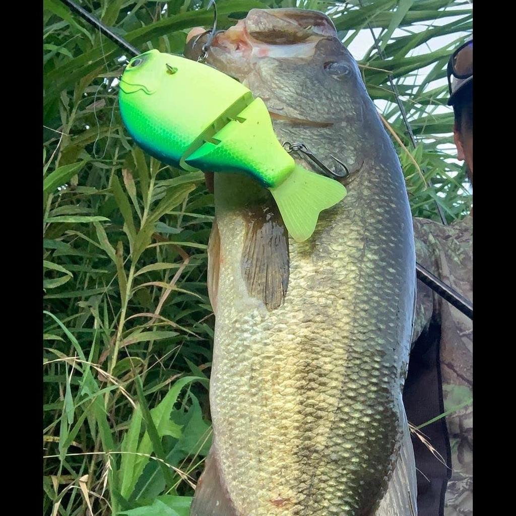 DAIWA Bass Lure Gradical 147F Adel Green Gill