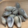 10 шт. Натуральные ракушки Marginella, подвески 15×28~23×39 мм, ракушки-подвески с серебряным ушком, пляжные подвески для DIY-украшений