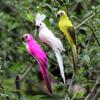 Durable Realistic Looking Compact Artificial Parrot Creative Bird Figurine Garden Lawn Ornament for Shopwindow